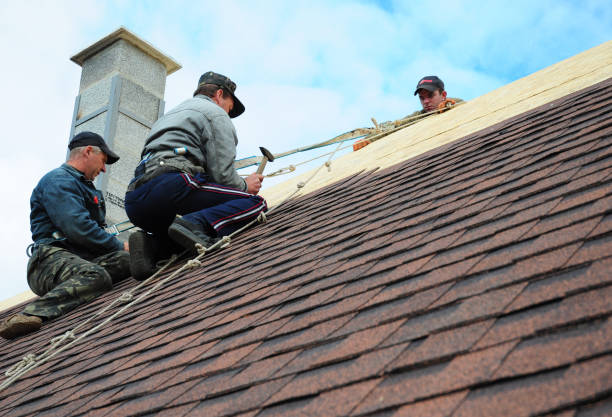 Best Shingle Roofing Installation  in Fredonia, WI